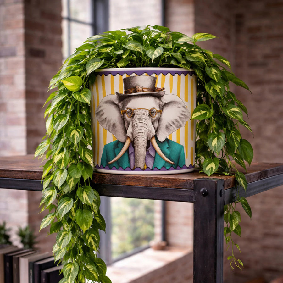 Vaso Cachepot in porcellana decorata Elefante WISDOM "HUMAN ESSENCE" Egan