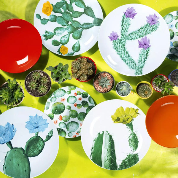 Servizio 18 pz piatti in porcellana decorata Excelsa COLOR CACTUS