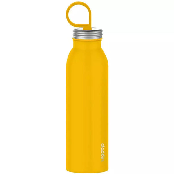 Bottiglia termica da viaggio in acciaio inox Aladdin CHILLED